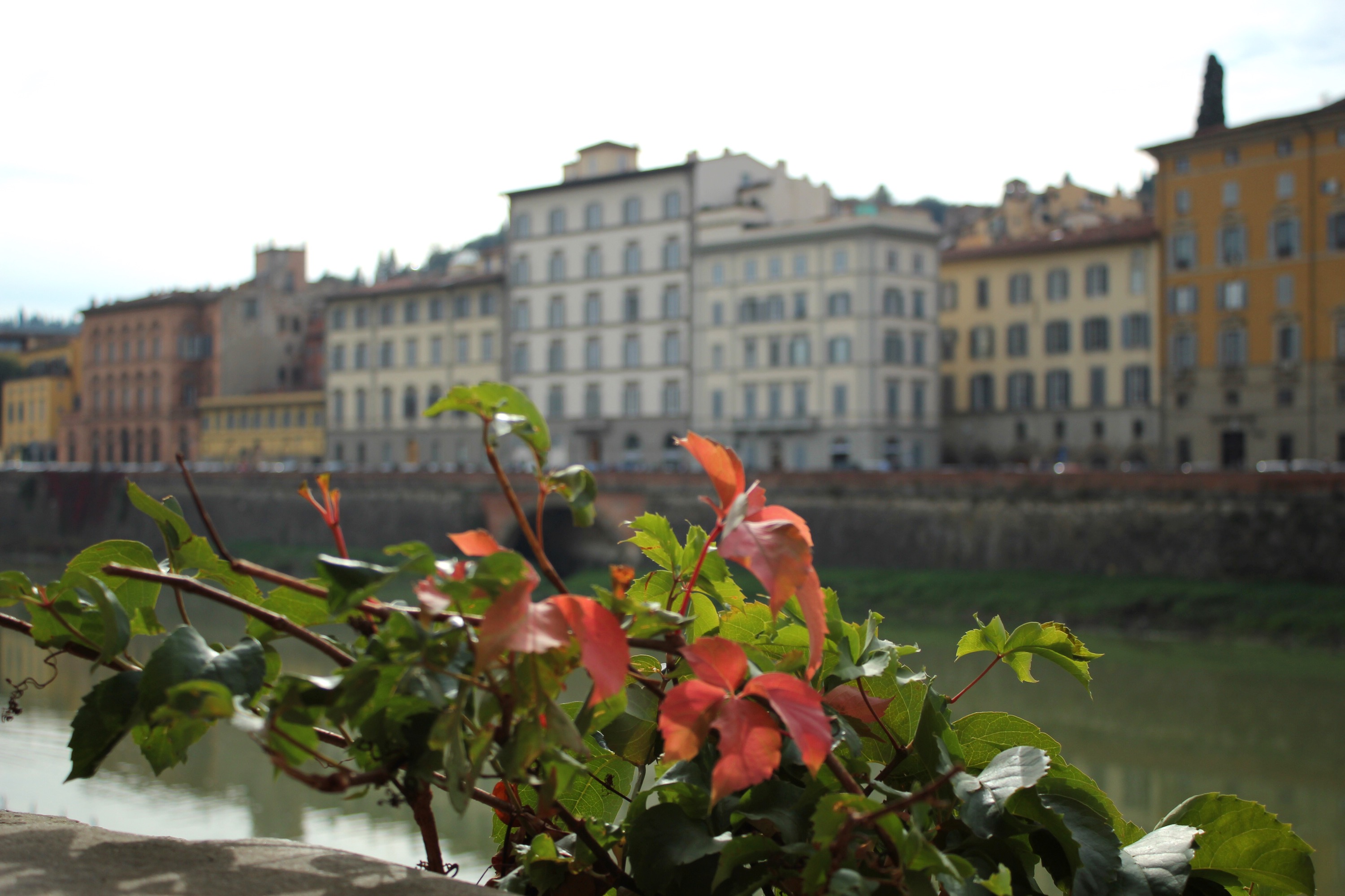 FLORENCE TRAVEL GUIDE | The Belle Abroad